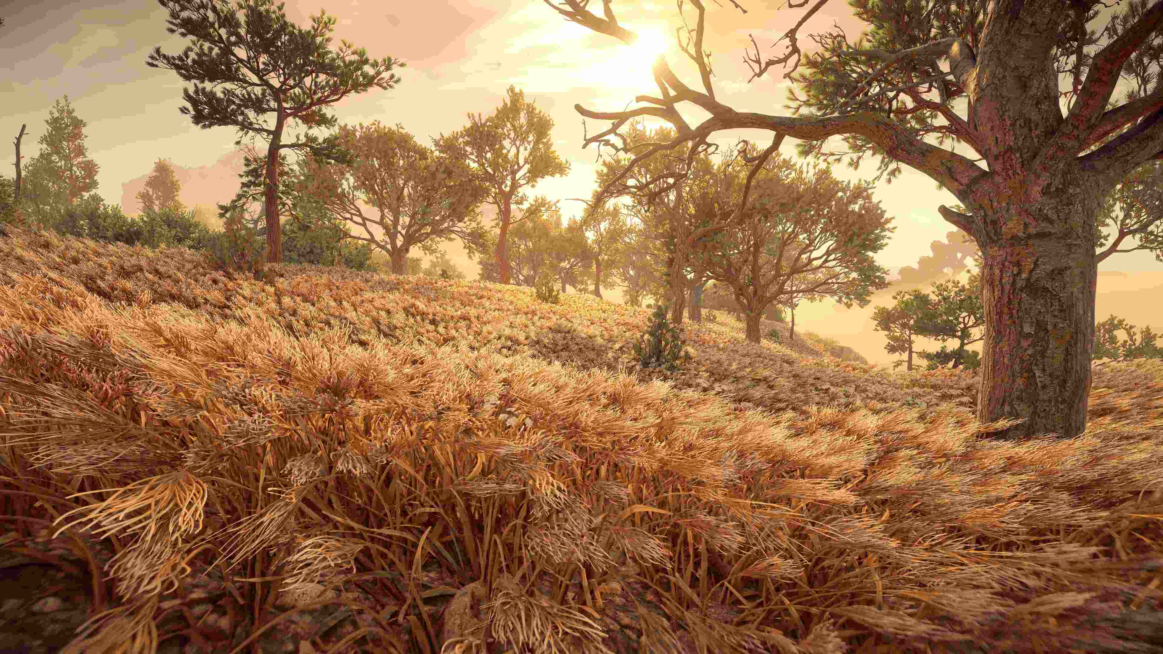 Horizon Forbidden West_20220225214631